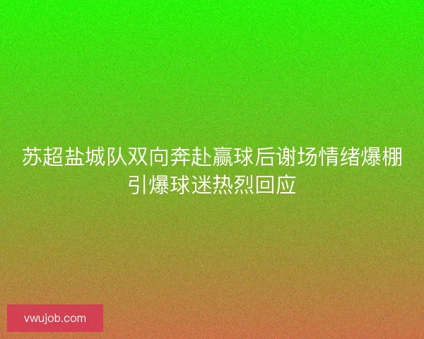 苏超盐城队双向奔赴赢球后谢场情绪爆棚引爆球迷热烈回应